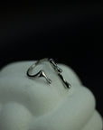 Liquid Ring V1